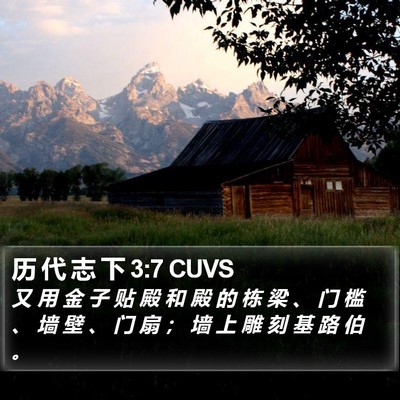 历 代 志 下 3:7 CUVS Bible Verse Image