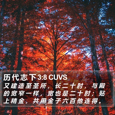 历 代 志 下 3:8 CUVS Bible Verse Image