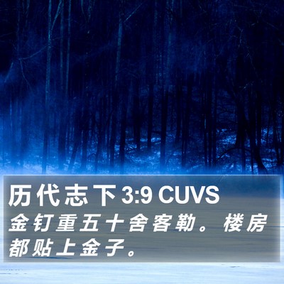 历 代 志 下 3:9 CUVS Bible Verse Image