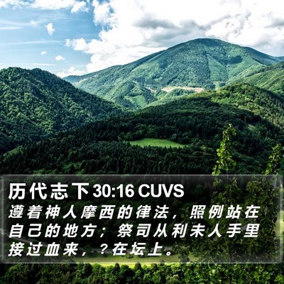 历 代 志 下 30:16 CUVS Bible Verse Image