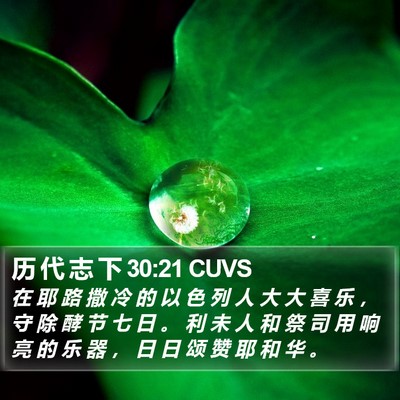 历 代 志 下 30:21 CUVS Bible Verse Image