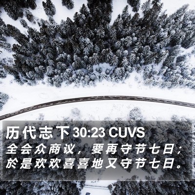历 代 志 下 30:23 CUVS Bible Verse Image