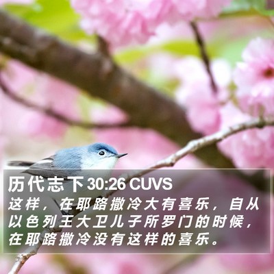 历 代 志 下 30:26 CUVS Bible Verse Image