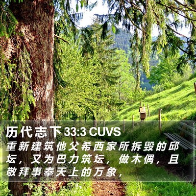 历 代 志 下 33:3 CUVS Bible Verse Image