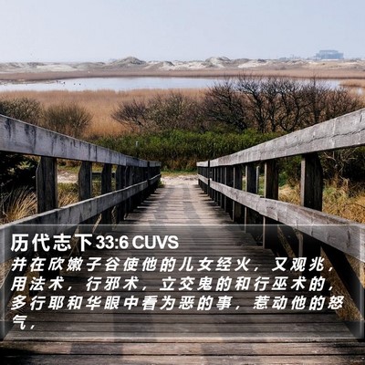历 代 志 下 33:6 CUVS Bible Verse Image