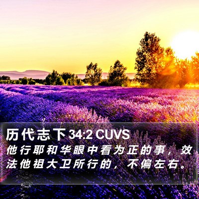 历 代 志 下 34:2 CUVS Bible Verse Image