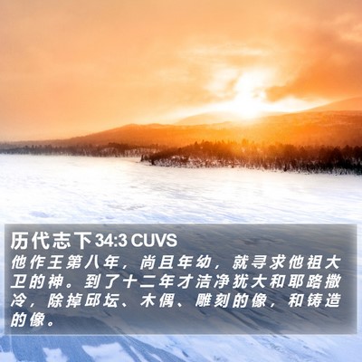 历 代 志 下 34:3 CUVS Bible Verse Image