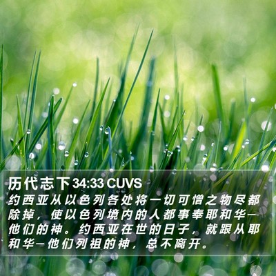 历 代 志 下 34:33 CUVS Bible Verse Image
