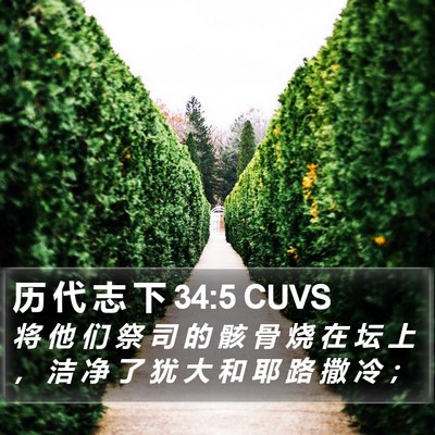 历 代 志 下 34:5 CUVS Bible Verse Image