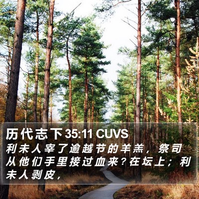 历 代 志 下 35:11 CUVS Bible Verse Image