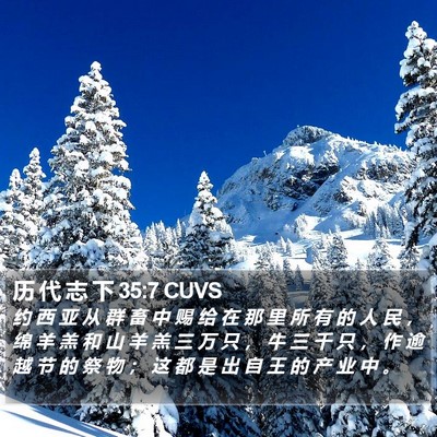 历 代 志 下 35:7 CUVS Bible Verse Image