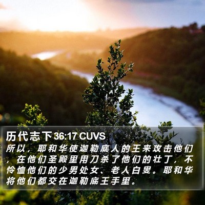 历 代 志 下 36:17 CUVS Bible Verse Image