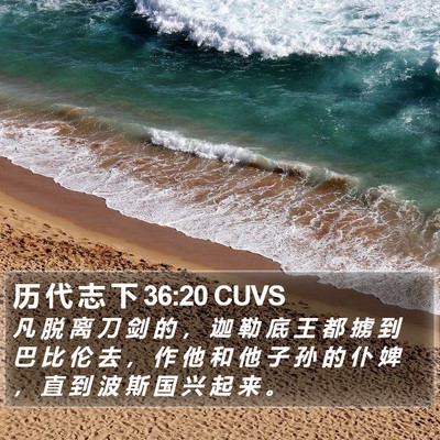 历 代 志 下 36:20 CUVS Bible Verse Image