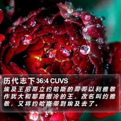 历 代 志 下 36:4 CUVS Bible Verse Image