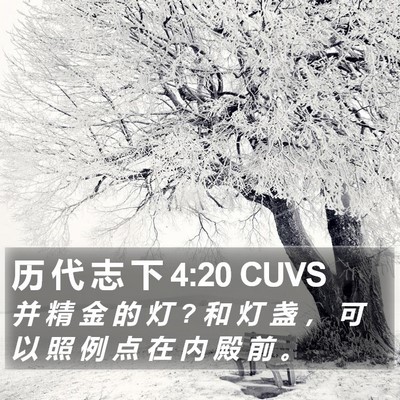 历 代 志 下 4:20 CUVS Bible Verse Image