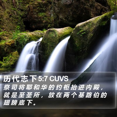 历 代 志 下 5:7 CUVS Bible Verse Image