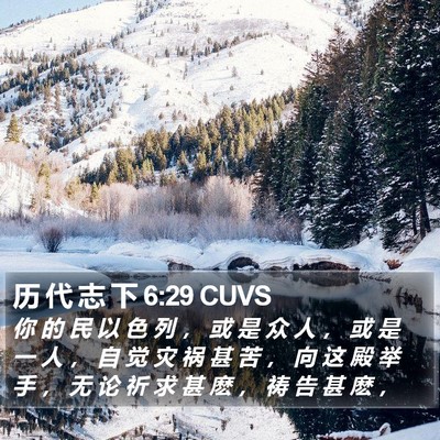 历 代 志 下 6:29 CUVS Bible Verse Image