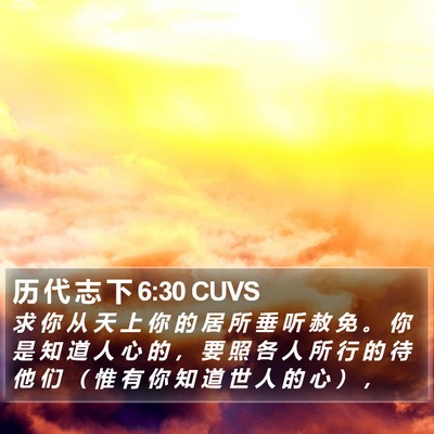 历 代 志 下 6:30 CUVS Bible Verse Image