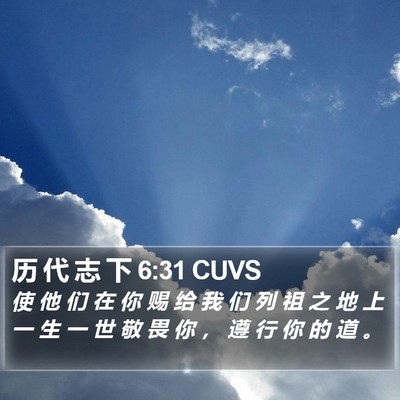 历 代 志 下 6:31 CUVS Bible Verse Image