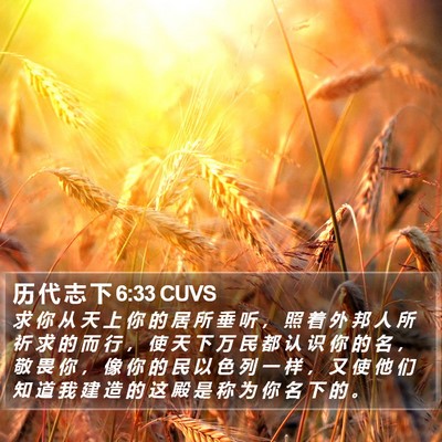 历 代 志 下 6:33 CUVS Bible Verse Image