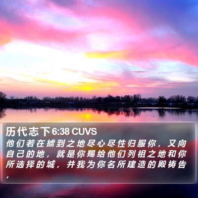 历 代 志 下 6:38 CUVS Bible Verse Image