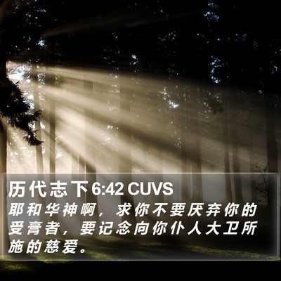历 代 志 下 6:42 CUVS Bible Verse Image