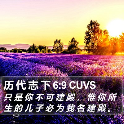 历 代 志 下 6:9 CUVS Bible Verse Image