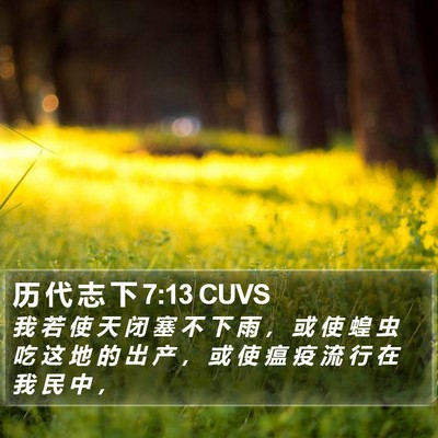 历 代 志 下 7:13 CUVS Bible Verse Image