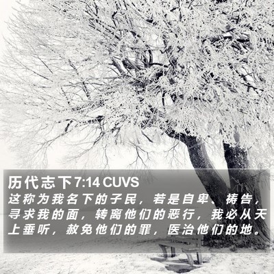 历 代 志 下 7:14 CUVS Bible Verse Image