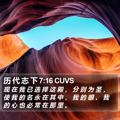 历 代 志 下 7:16 CUVS Bible Verse Image