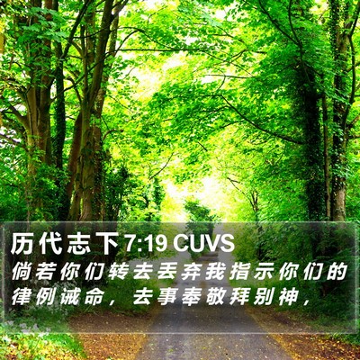 历 代 志 下 7:19 CUVS Bible Verse Image