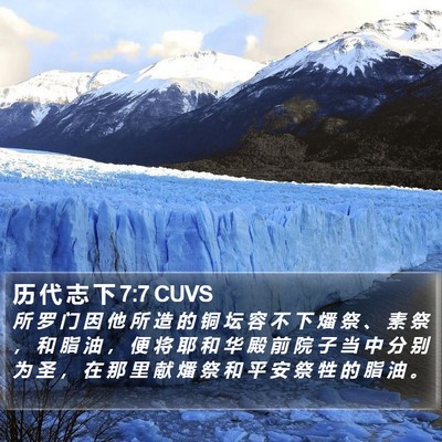 历 代 志 下 7:7 CUVS Bible Verse Image