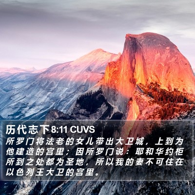 历 代 志 下 8:11 CUVS Bible Verse Image