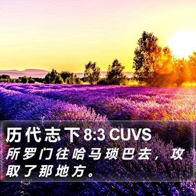 历 代 志 下 8:3 CUVS Bible Verse Image