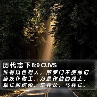 历 代 志 下 8:9 CUVS Bible Verse Image
