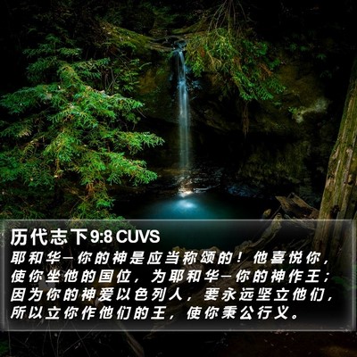 历 代 志 下 9:8 CUVS Bible Verse Image