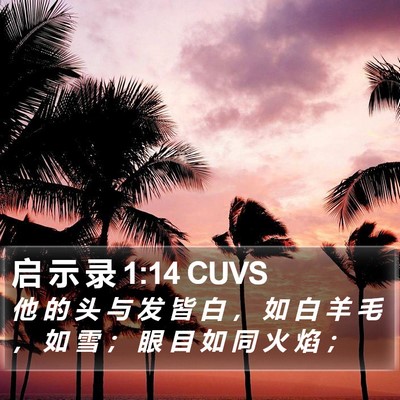 启 示 录 1:14 CUVS Bible Verse Image