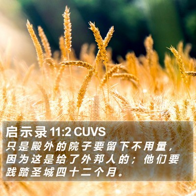 启 示 录 11:2 CUVS Bible Verse Image
