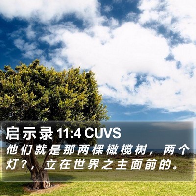 启 示 录 11:4 CUVS Bible Verse Image