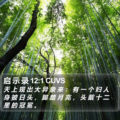 启 示 录 12:1 CUVS Bible Verse Image