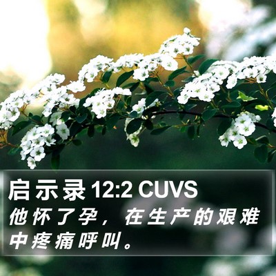 启 示 录 12:2 CUVS Bible Verse Image
