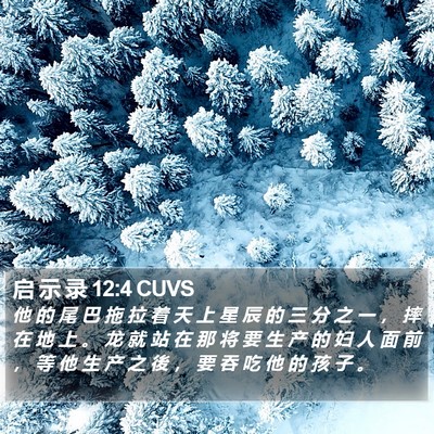 启 示 录 12:4 CUVS Bible Verse Image