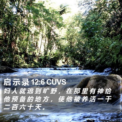 启 示 录 12:6 CUVS Bible Verse Image