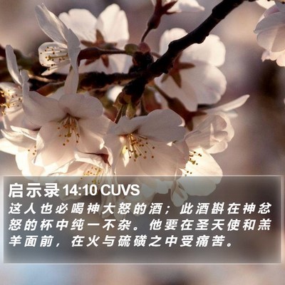 启 示 录 14:10 CUVS Bible Verse Image