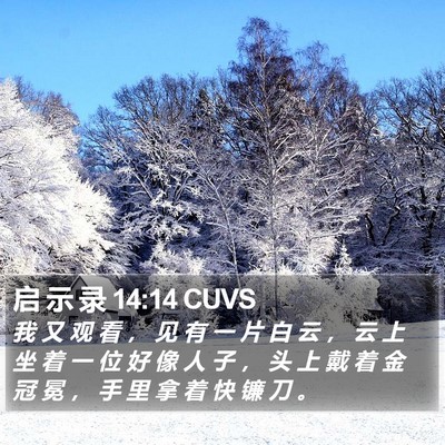 启 示 录 14:14 CUVS Bible Verse Image