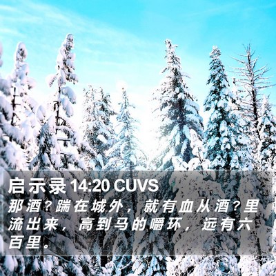 启 示 录 14:20 CUVS Bible Verse Image