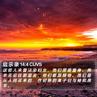 启 示 录 14:4 CUVS Bible Verse Image