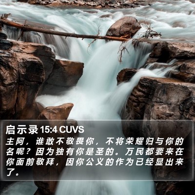 启 示 录 15:4 CUVS Bible Verse Image