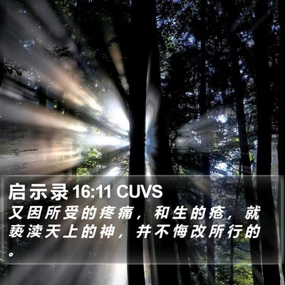 启 示 录 16:11 CUVS Bible Verse Image