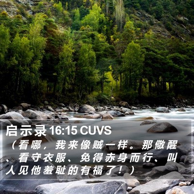 启 示 录 16:15 CUVS Bible Verse Image